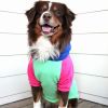 Color-Block Hoodie
